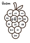 Ü sesi üzüm