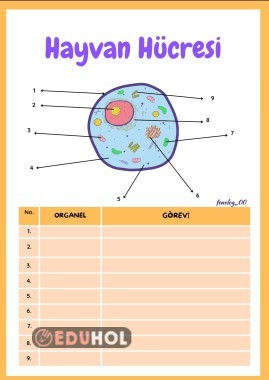 hayvan hücresi