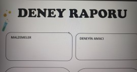 DENEY RAPORU