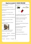 HAYAT BİLGİSİ SENE SONU DEĞERLENDİRME SINAVI-3