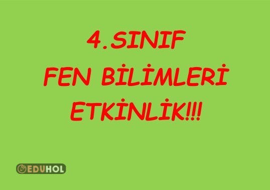 4.SINIF FEN BESLENME ÜNİTESİ DEĞERLENDİRME