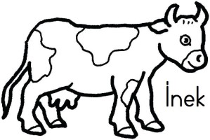 İ SESİ SES VE HECE TEKRAR ÇALIŞMAM