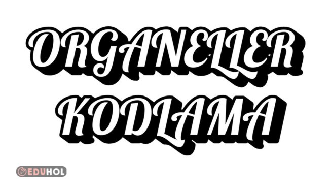 Organeller Anahtarlık