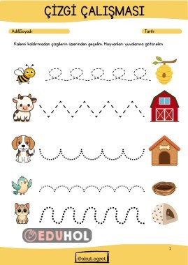 Eğitici Çizgi Çalışmaları