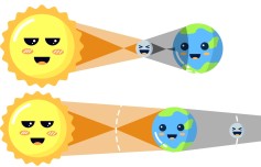 TUTULMALAR DERS NOTU