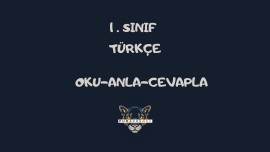 TÜRKÇE-BENZETME CÜMLELERİYLE-OKU-ANLA-CEVAPLA-6