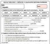 2. Sınıf Hayat Bilgisi 1. Dönem sonu kazanım değerlendirme
