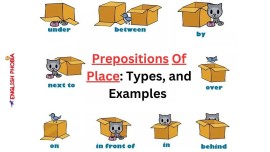 2. Sınıf İngilizce Prepositions