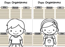Duyu Organlarımız Ve Görevleri Taslak Tablo