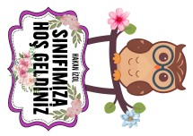 Baykuş Kapı Süsü