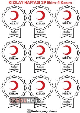 Kızılay Gönüllü Rozeti