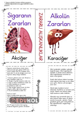 Zararlı alışkanlıklar sigara ve alkolün zararları