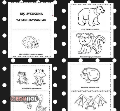 Kış Uykusuna Yatan Hayvanlar