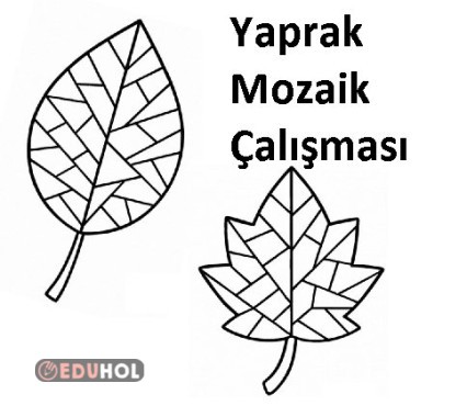 Yaprak Mozaik Çalışması