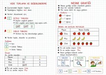 1. Sınıf Matematik Veri Toplama ve Değerlendirme Defter Notu