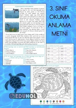 3. Sınıf Türkçe Okuma-Anlama Çalışması “Yüzme Bilmeyen Kaplumbağa”