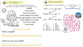 H sesi boya yaz hızlı okuma anlama metni @sinifguncesi