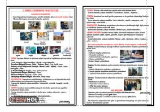 5. ÜNİTE EKONOMİK FAALİYETLER - AİLEMİZİN EKONOMİSİ DEFTERE YAPIŞTIRMA