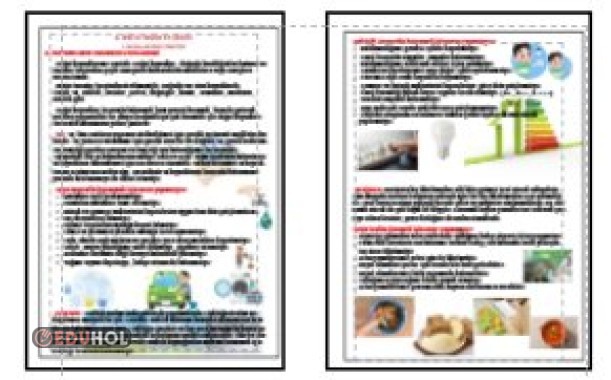 6. ÜNİTE İNSAN VE ÇEVRE - BİLİNÇLİ TÜKETİCİ DEFTER ÖZETİ