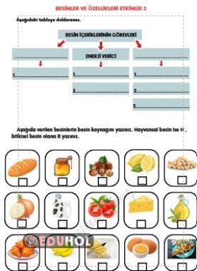 BESİNLER VE ÖZELLİKLERİ ETKİNLİK 2