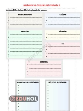 BESİNLER VE ÖZELLİKLERİ ETKİNLİK 3