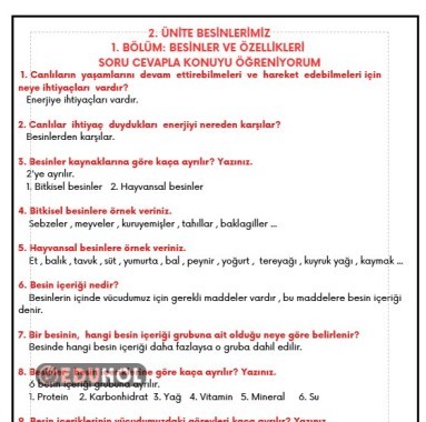 BESİNLERİN ÖZELLİKLERİ CEVAPLI SORULARLA KONU ÖĞRETİMİ