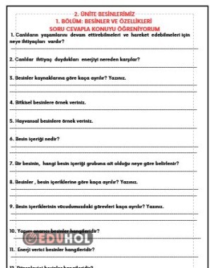 BESİNLERİN ÖZELLİKLERİ CEVAPSIZ SORULARLA KONU PEKİŞTİRME ÇALIŞMASI