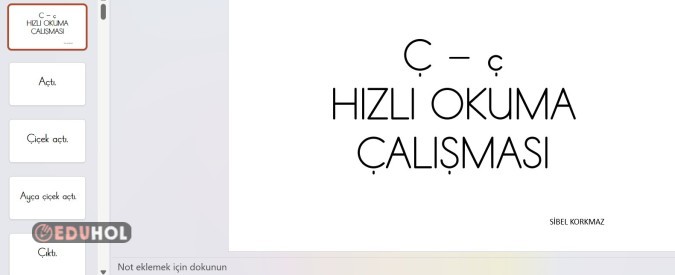 Ç SESİ CÜMLELERİ İLE HIZLI OKUMA ETKİNLİĞİ