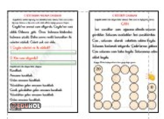 C SESİ OKUMA ANLAMA - METİN DİKTESİ - 20'DEN BİRER BİRER GERİYE SAYMA