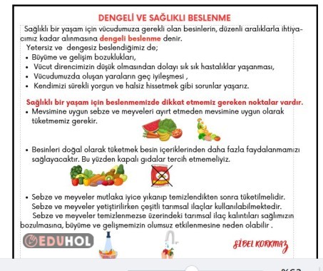 DENGELİ VE SAĞLIKLI BESLENME DEFTER ÖZETİ