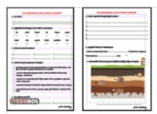 FEN BİLİMLERİ - YER KABUĞUNUN YAPISI - FOSİLLER ETKİNLİĞİ