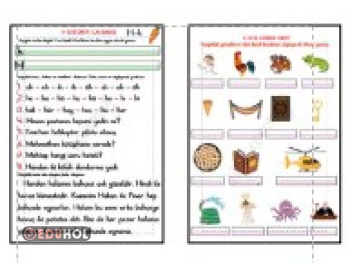 H SESİ HECE-CÜMLE DİKTESİ-GÖRSEL DİKTE - OKUMA METNİ