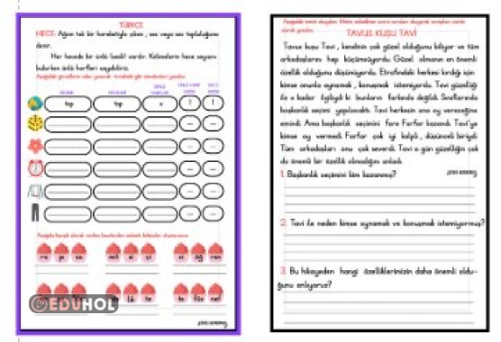 HECE BİLGİSİ ETKİNLİĞİ 2 - OKUMA ANLAMA ETKİNLİĞİ