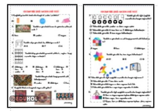 MATEMATİK - GEOMETRİK ŞEKİL MODELLERİ TESTİ
