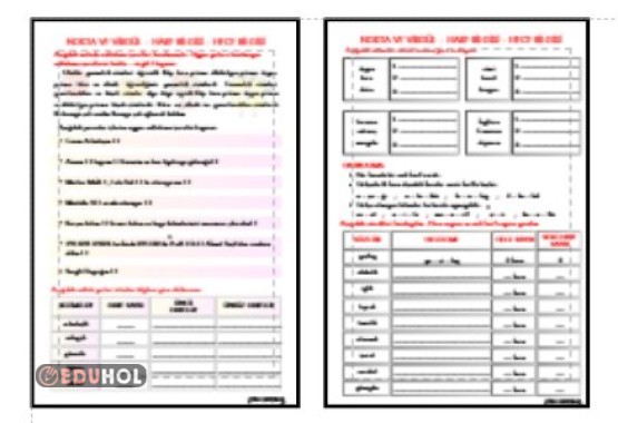 TÜRKÇE - NOKTA - VİRGÜL - HARF VE HECE BİLGİSİ ETKİNLİĞİ