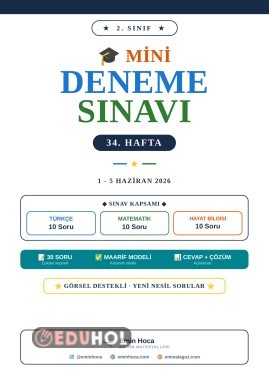 2. Sınıf 34. Hafta Mini Deneme Sınavı PDF İndir | Türkçe Matematik Hayat Bilgisi