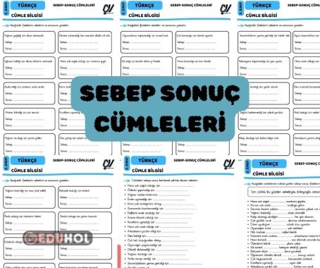 SEBEP SONUÇ CÜMLELERİ