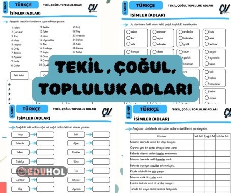 TEKİL,ÇOĞUL,TOPLULUK ADLARI
