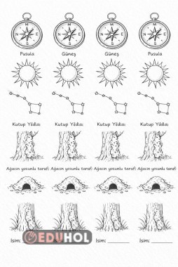Sınıflar İçin Yönler ve Yön Bulma Etkinliği Eğlenceli Yön Bulma – Kes Yapıştır Defter Etkinliği