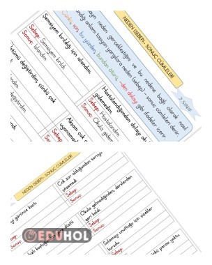 2. Sınıf Sebep (Neden)  Sonuç Cümleleri defter notu ve çalışma sayfası