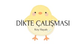 Dikte Çalışması