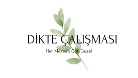 Dikte Çalışması