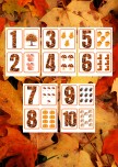 Sonbahar Sayı Kartları