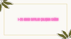 1 DEN 20 YE SAYILAR ÇALIŞMA KAĞIDI KOLAY