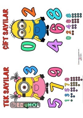 tekli çiftli sayılar