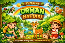 21-26 Mart Orman Haftası 16 A4 Pano