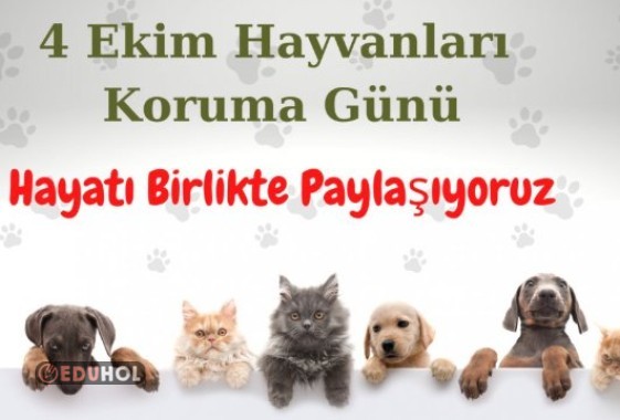 CAN VE MİNİK PATİ