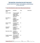 DİLİMİZİN ZENGİNLİKLERİ İLKOKUL DÜZEYİ EN İYİ CÜMLE / AFİŞ YARIŞMASI DEĞERLENDİRME CETVELİ