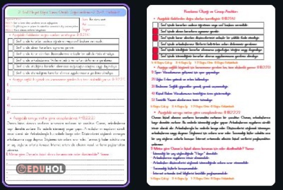 2. Sınıf Hayat Bilgisi Süreç Odaklı Değerlendirme (5-9. Haftalar)