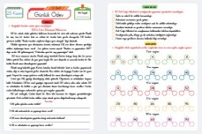 Günlük Ödev (25 Kasım)